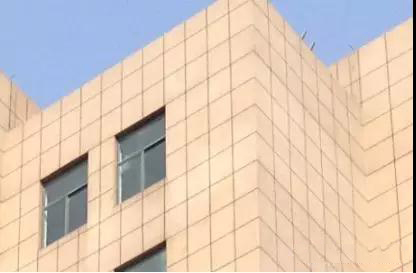 9393体育·(中国)官方网站