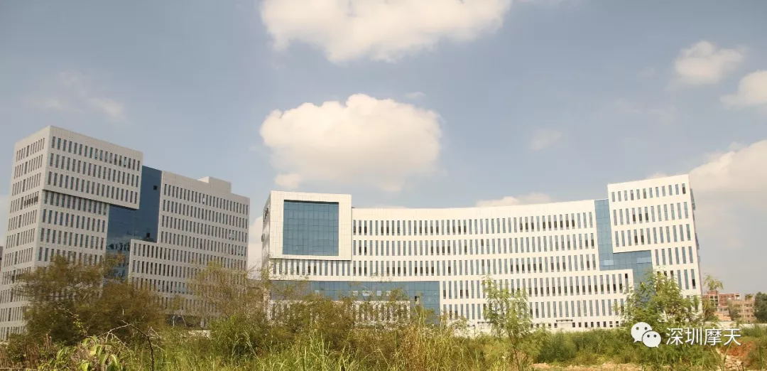 9393体育·(中国)官方网站